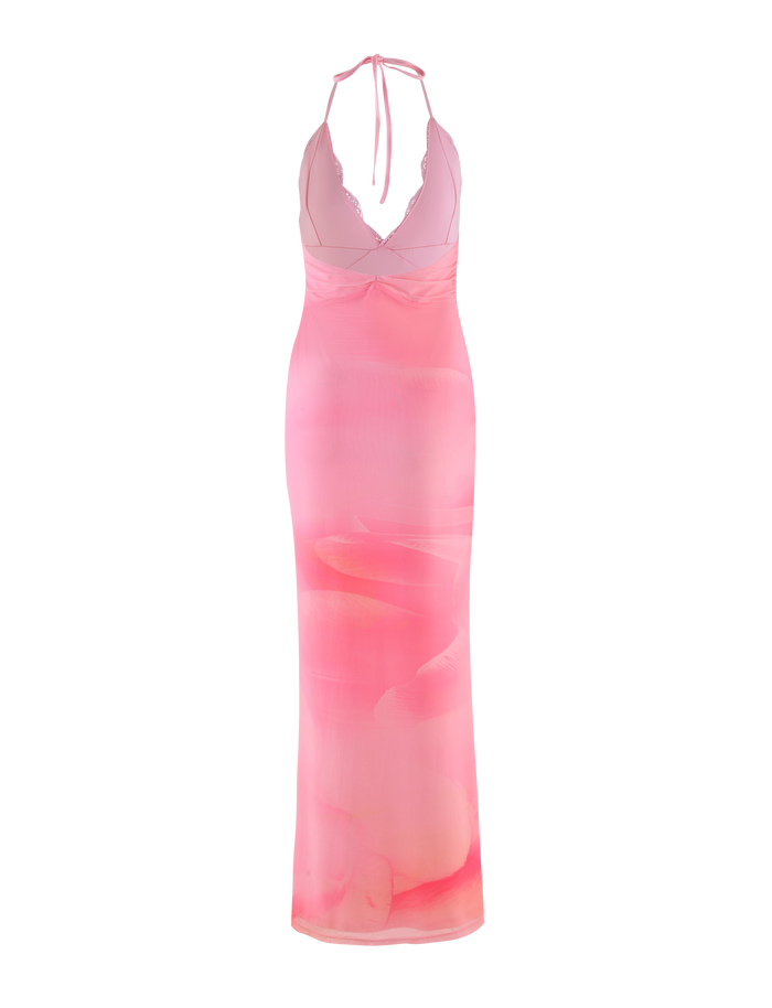The TIGERMIST DENAE MAXI DRESS in Pink Blossom features sheer pink floral lace, a halter neckline, fitted bodice, and a long semi-transparent skirt, shown against a pink gradient background.
