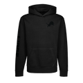 Detroit Lions Blackout Aspen Hoodie