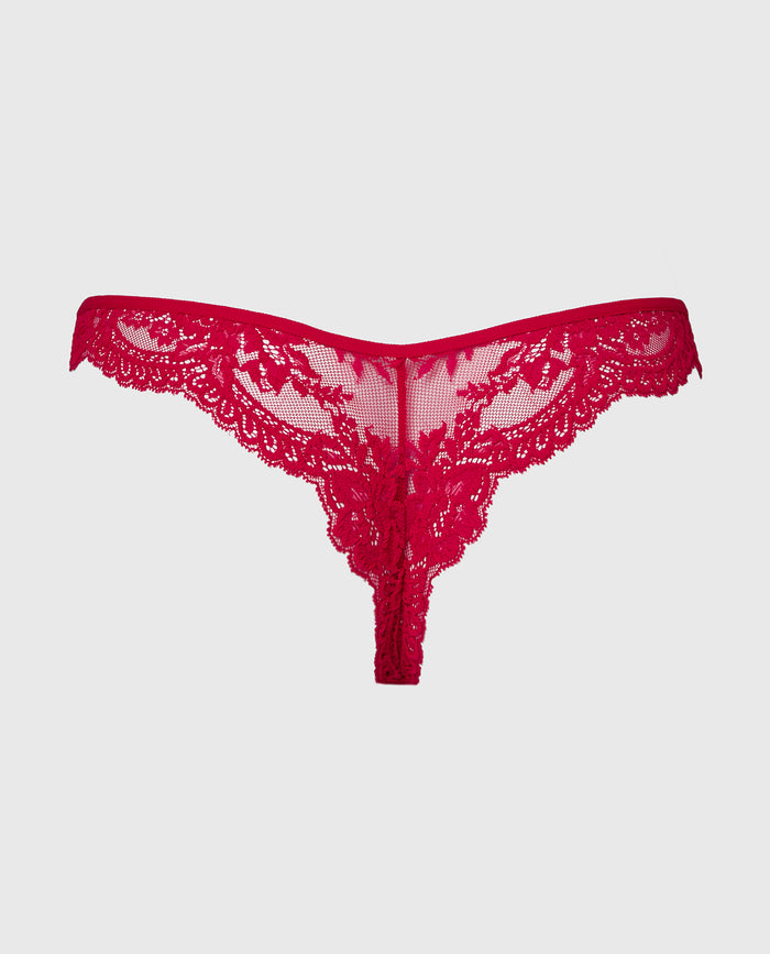 Diva Cheeky Thong Lace Panty in Crimson