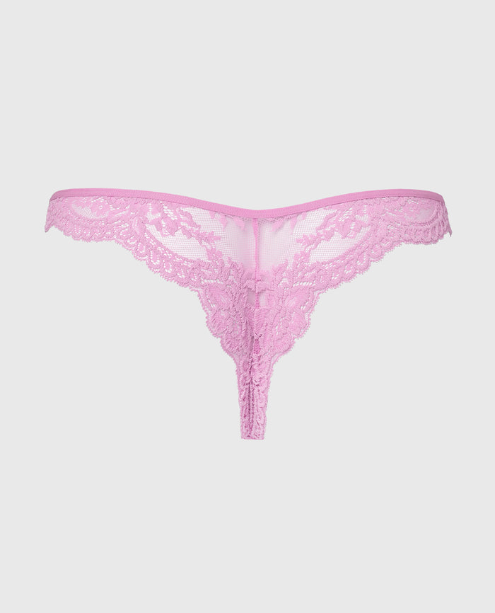 Diva Cheeky Thong Lace Panty in Orchid