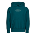 Ghost On The Shore Soft Goods Hoodie