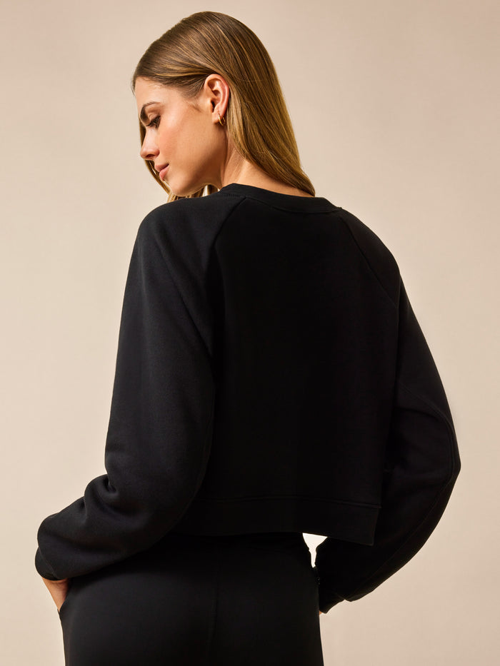 Greyson Script Cropped Crew Neck in Shepherd - Back View, Raglan Sleeve & Ribbed Hem Detail | Greyson Clothiers