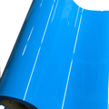 Heat Transfer Vinyl 19" Width SKY BLUE-2 HTV