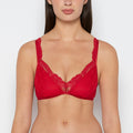 Mesh Demi Bra in Crimson