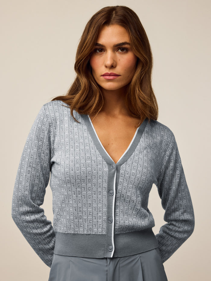 Bluestone Pathfinder Leith Merino Sweater Cardigan - Front View On Model | Greyson Clothiers