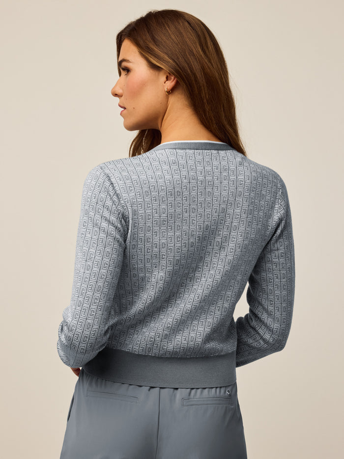 Bluestone Pathfinder Leith Merino Sweater Cardigan - Back View On Model | Greyson Clothiers