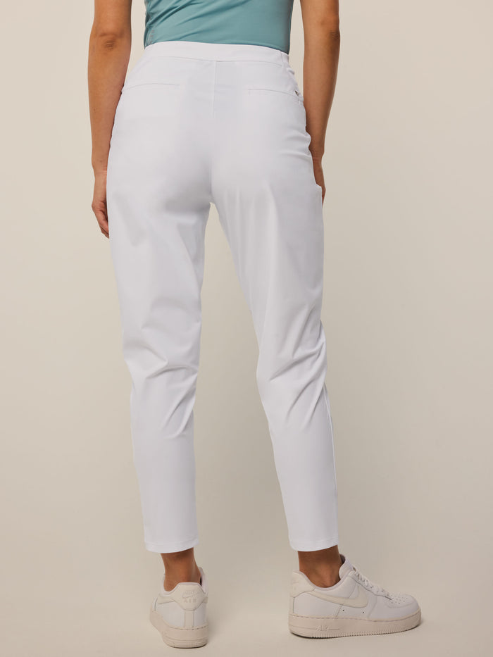 Arctic Phoenix Pleated Trouser - Back View, Slim Tapered Leg | Greyson Clothiers